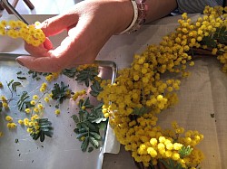 ミモザリース製作